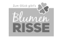 Blumen Risse
